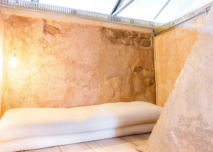 La Abaceria * Mino de Medinaceli